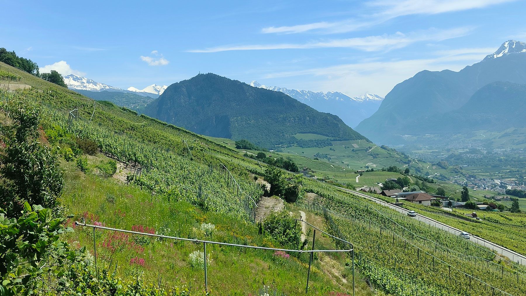 Les Vignes Champlan Grimisuat